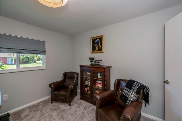 living area with light colored carpet