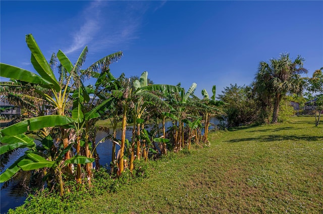 view of yard featuring a water view