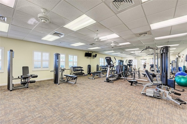 gym with carpet flooring, a drop ceiling, and ceiling fan