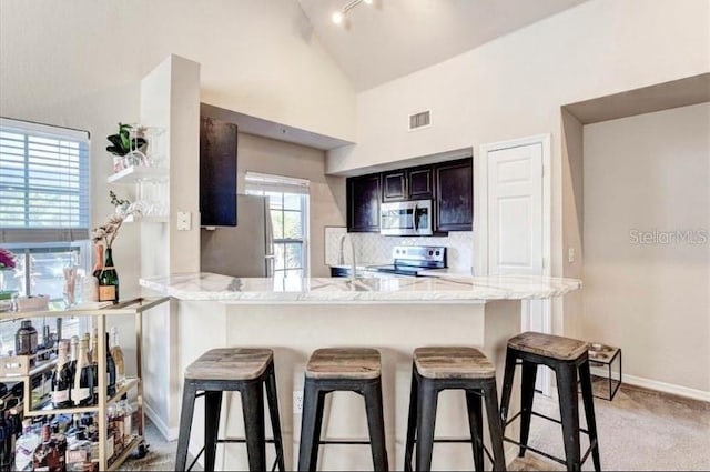 kitchen with kitchen peninsula, appliances with stainless steel finishes, light colored carpet, and a healthy amount of sunlight