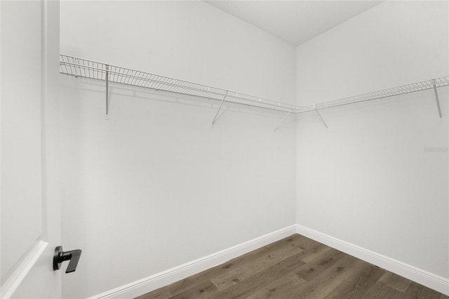 spacious closet with hardwood / wood-style flooring