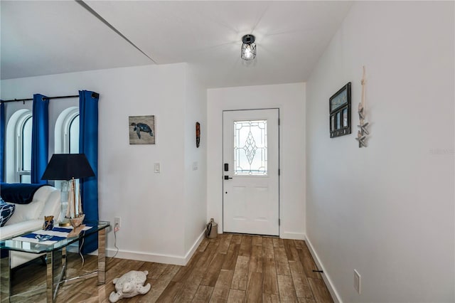 foyer featuring wood-type flooring