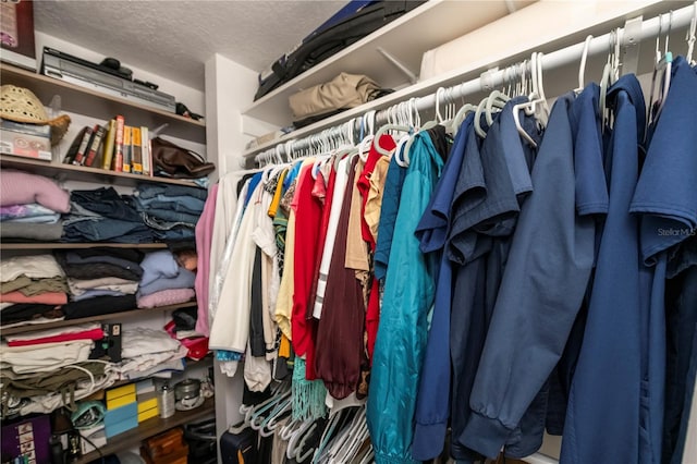 view of walk in closet