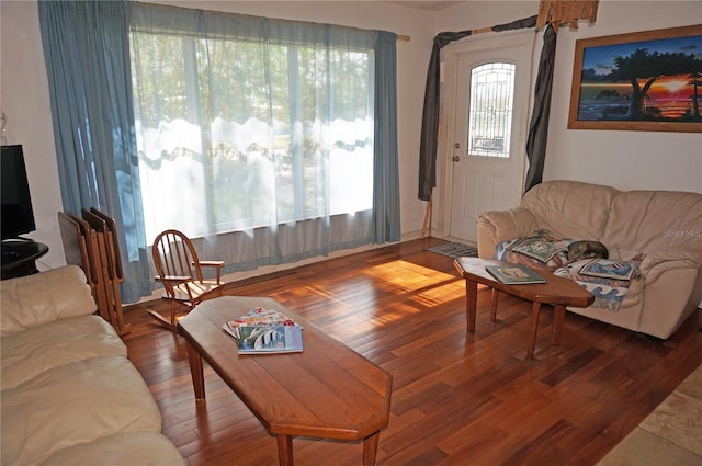 living room featuring hardwood / wood-style floors