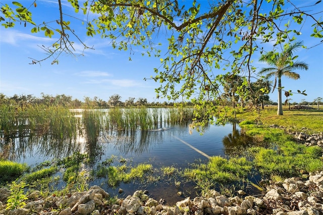 water view