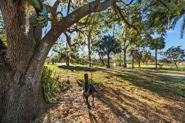 exterior space with a yard