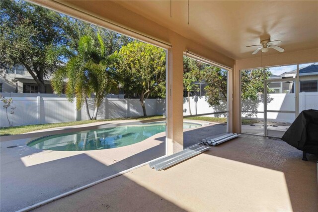 view of swimming pool featuring a patio and ceiling fan