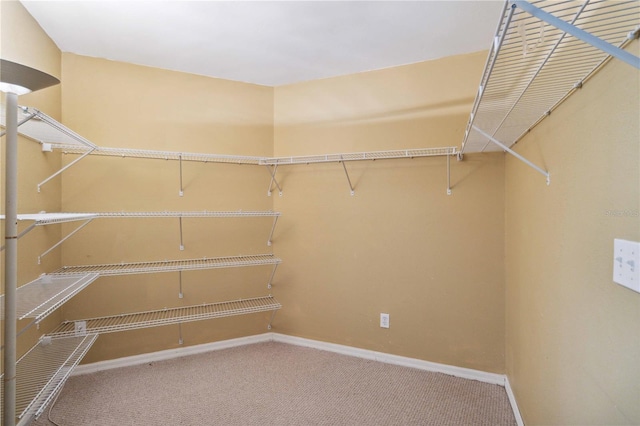 walk in closet featuring carpet floors