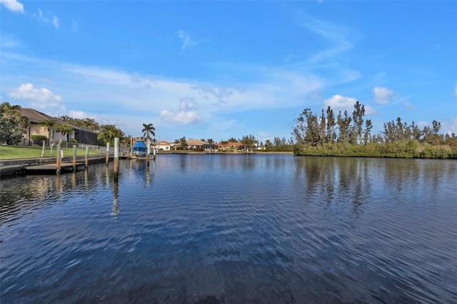 water view featuring a boat dock