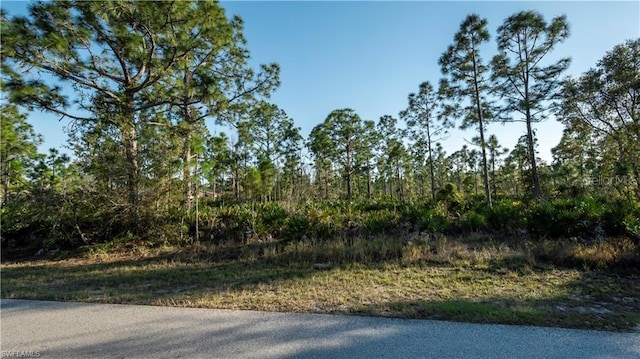 Listing photo 3 for 27373 Senator Dr, Punta Gorda FL 33955