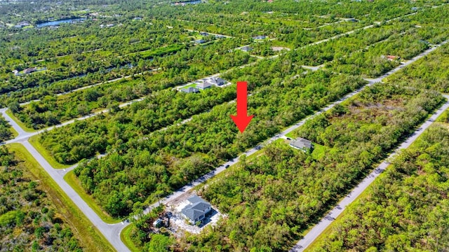 14217 Luxo Ave, Port Charlotte, FL 33953 - photo 3
