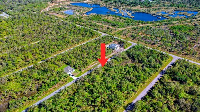 14217 Luxo Ave, Port Charlotte, FL 33953 - photo 5