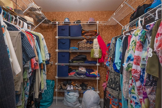 view of walk in closet