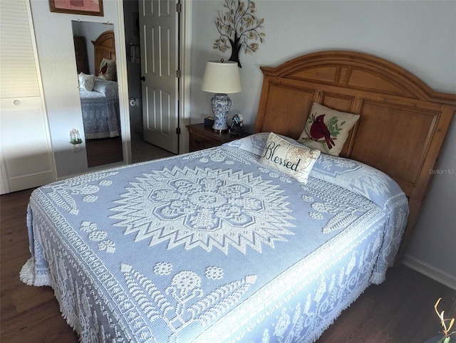 bedroom featuring a closet and dark wood-type flooring