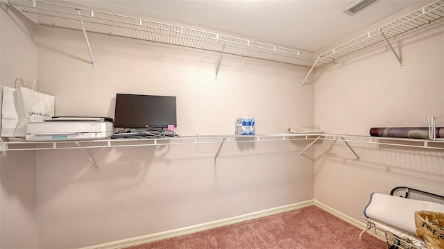 spacious closet featuring carpet and visible vents