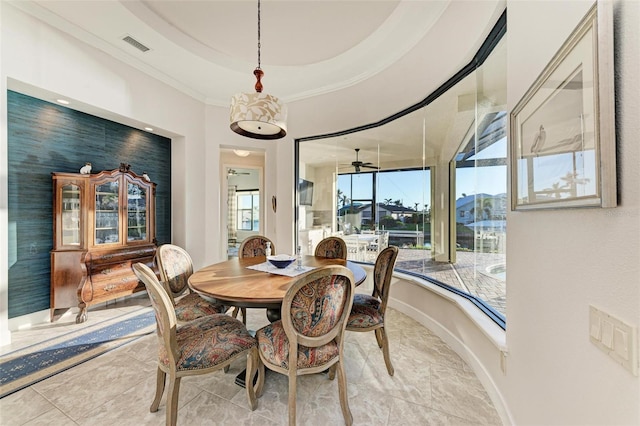 dining area with a tray ceiling and ceiling fan