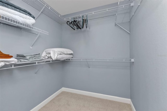 walk in closet featuring carpet flooring