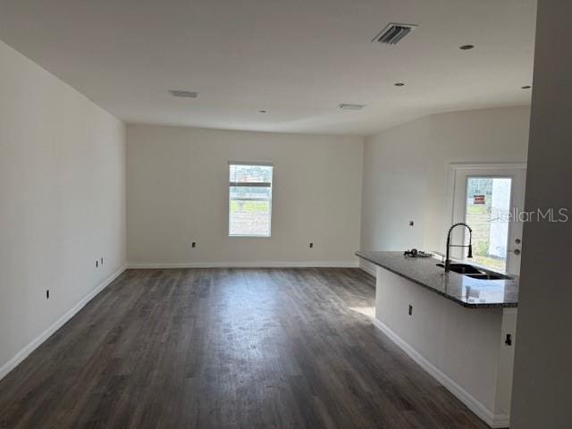 interior space featuring dark hardwood / wood-style flooring, a wealth of natural light, and sink