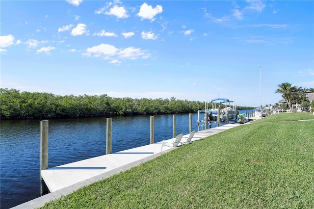 dock area with a yard and a water view