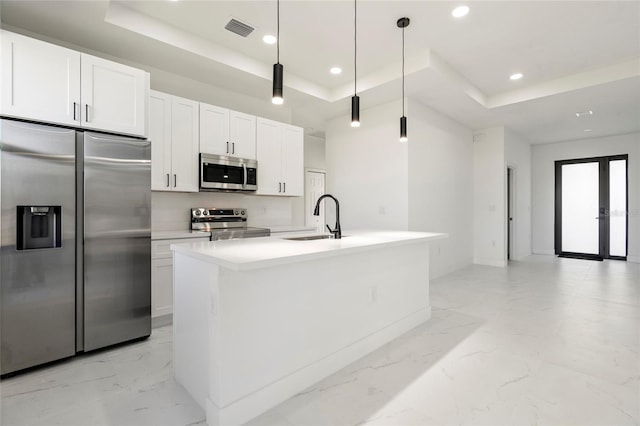 kitchen with stainless steel appliances, a raised ceiling, a kitchen island with sink, and sink