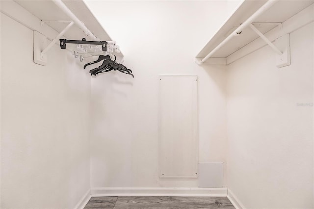 spacious closet featuring hardwood / wood-style floors