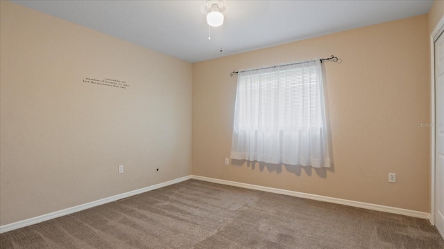 spare room with carpet