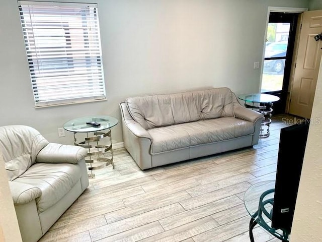 living room featuring light hardwood / wood-style floors and plenty of natural light