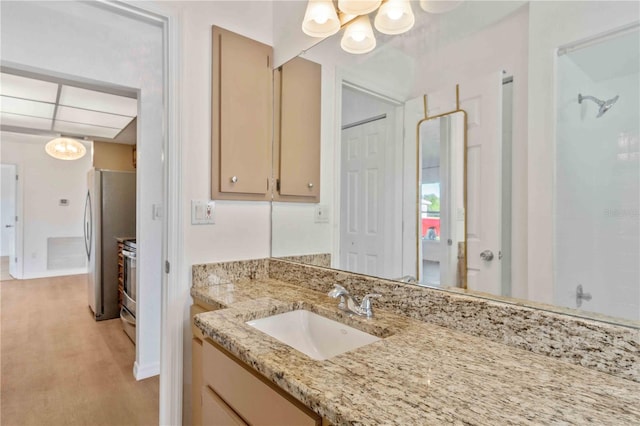 bathroom with vanity, hardwood / wood-style flooring, and walk in shower