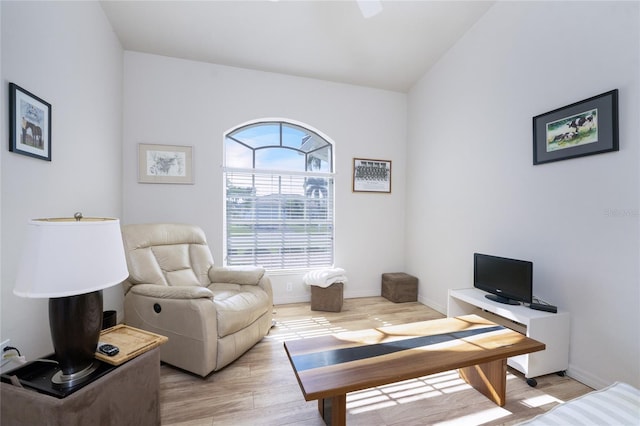 office with lofted ceiling, a wealth of natural light, and light hardwood / wood-style flooring