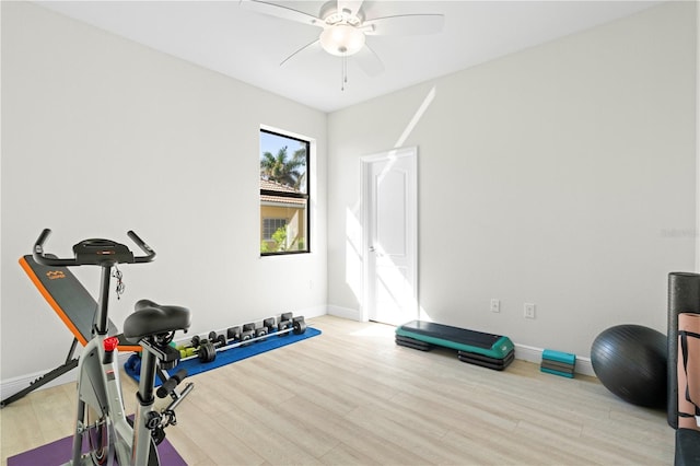 exercise area with ceiling fan and light hardwood / wood-style flooring