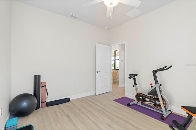 exercise area featuring ceiling fan and light wood-type flooring