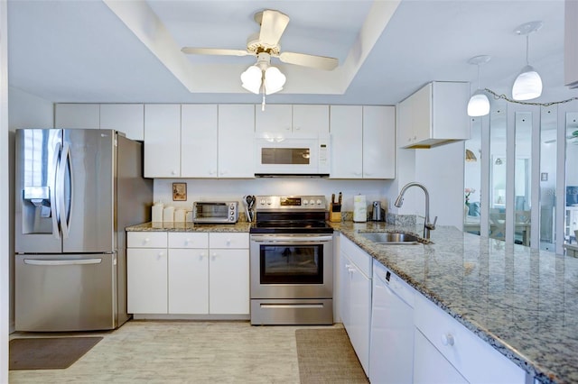 kitchen featuring appliances with stainless steel finishes, a wealth of natural light, a raised ceiling, sink, and white cabinets