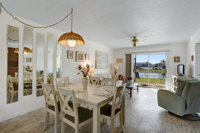 dining space featuring ceiling fan, a textured ceiling, and hardwood / wood-style flooring