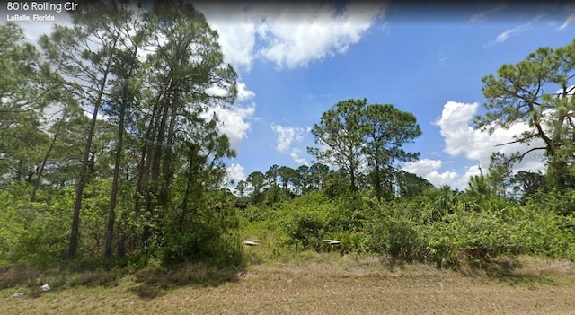 Listing photo 2 for 8016 Rolling Cir, Labelle FL 33935