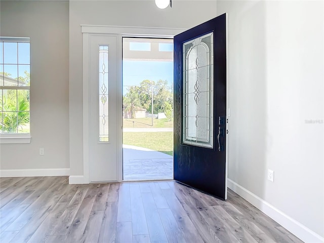 foyer featuring a healthy amount of sunlight and light hardwood / wood-style flooring