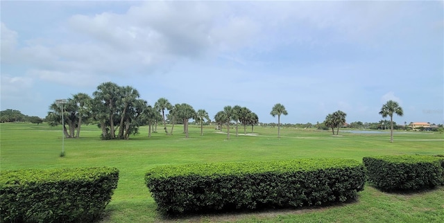 view of property's community with a lawn