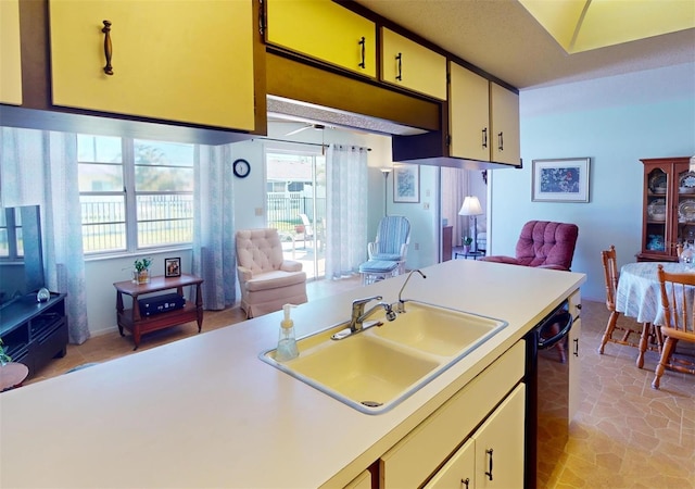 kitchen with dishwasher and sink