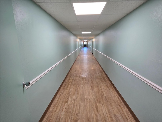 corridor with light hardwood / wood-style flooring and a drop ceiling