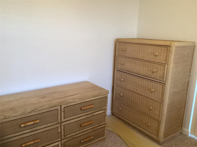 interior details with carpet flooring