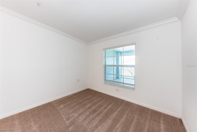 carpeted spare room with crown molding