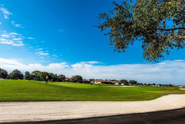 view of community with a lawn