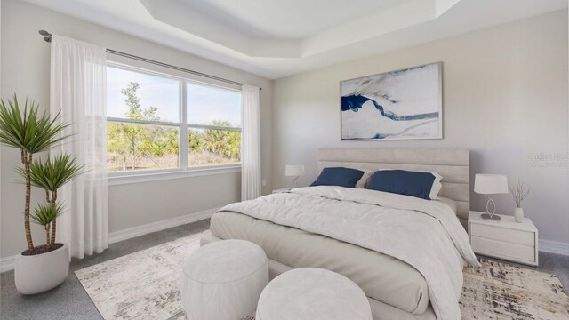 16114 Highgate St, Port Charlotte, FL 33953 - carpeted bedroom featuring baseboards and a raised ceiling