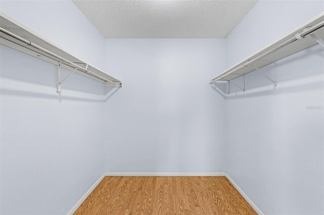 spacious closet featuring wood-type flooring