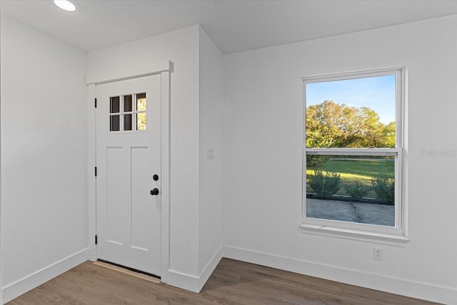 foyer with wood-type flooring