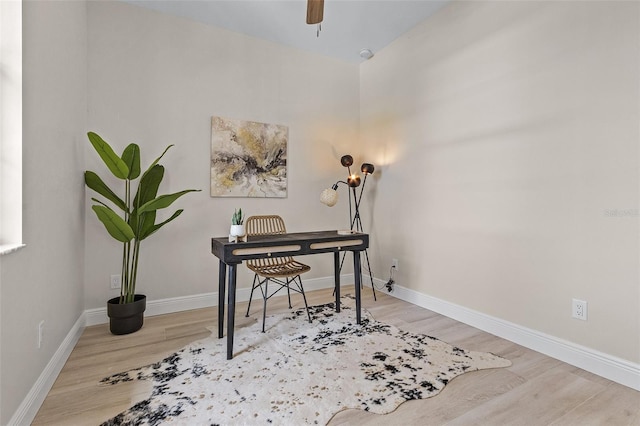 office featuring light hardwood / wood-style floors and ceiling fan