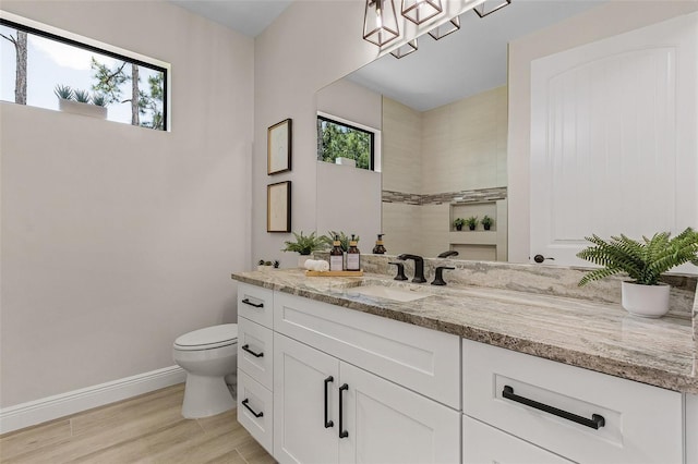 bathroom with hardwood / wood-style floors, vanity, and toilet