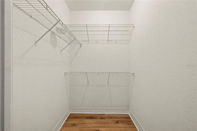 spacious closet with hardwood / wood-style flooring