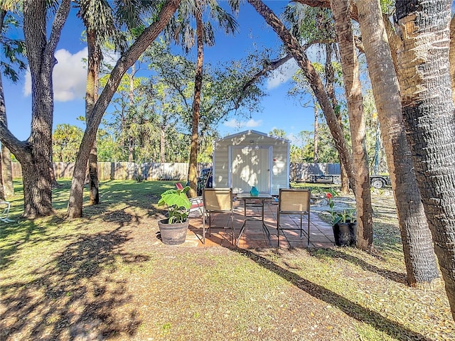 view of yard featuring a shed and a patio