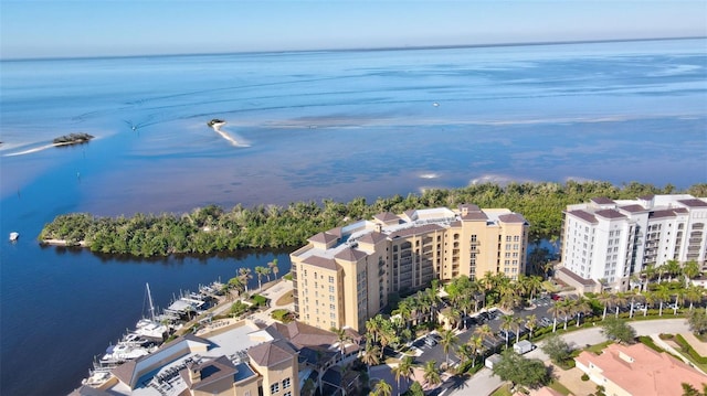 aerial view with a water view