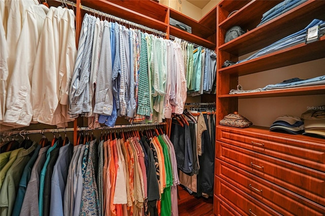 spacious closet featuring hardwood / wood-style flooring